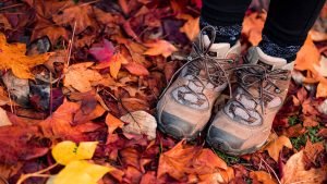 Die Herbst- und Winterstiefel der Saison 2023 im Überblick. (Foto: Unsplash)