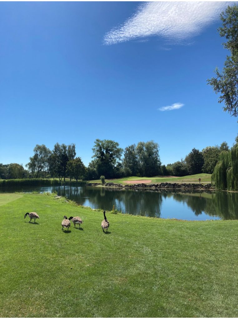 (Foto: Golf de la Wantzenau)