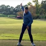 Tragende Säule: das vordere Bein. (Foto: Birdietrain)