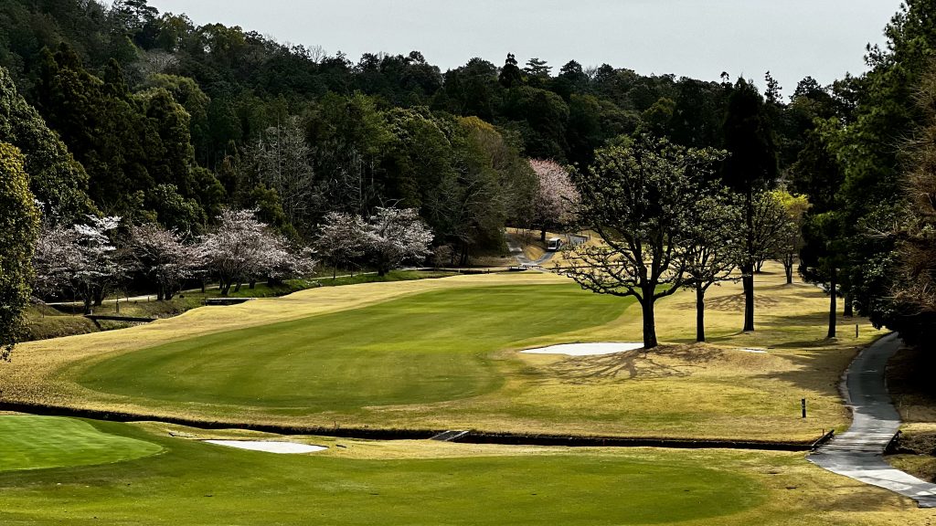 Das Korai-Gras ist typisch für japanische Golfplätze. (Foto: Jürgen Linnenbürger)