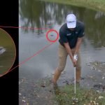 Vince Whaley bei der Sanderson Farms Championship der PGA Tour. (Foto: X.com/@PGATour)