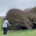 (Foto: X.com/@Dannygray21)