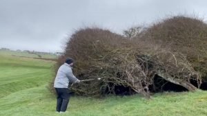 (Foto: X.com/@Dannygray21)