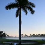 PGA Tour trifft in Florida auf LPGA während DP Worldtour in Südafrika den Standort wechselt. (Foto: Getty)