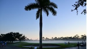 PGA Tour trifft in Florida auf LPGA während DP Worldtour in Südafrika den Standort wechselt. (Foto: Getty)