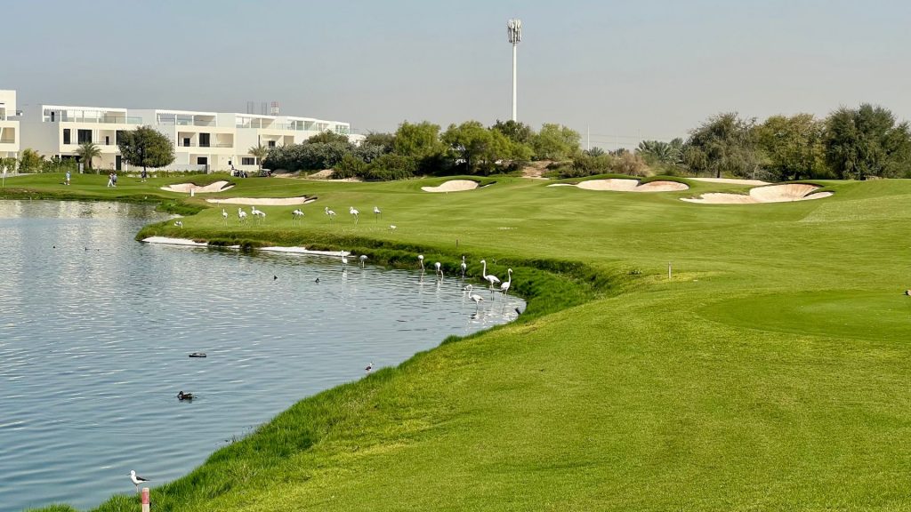 Mutig über das Wasser (Foto: Jürgen Linnenbürger)