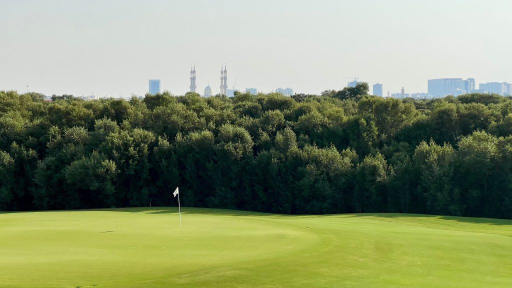 Natur Pur (Foto: Jürgen Linnenbürger)