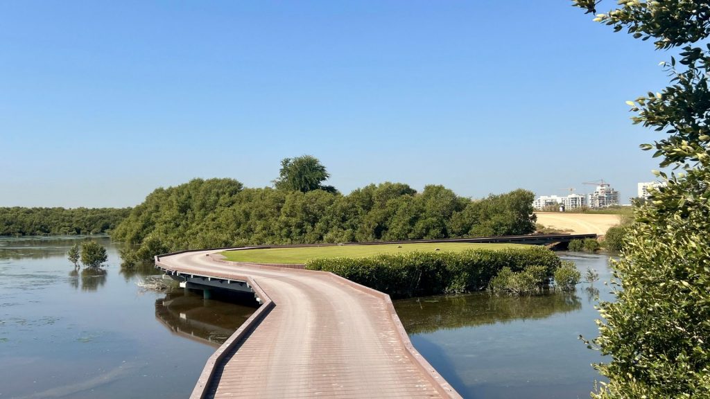 Typische Route durch die Mangroven (Foto: Jürgen Linnenbürger)