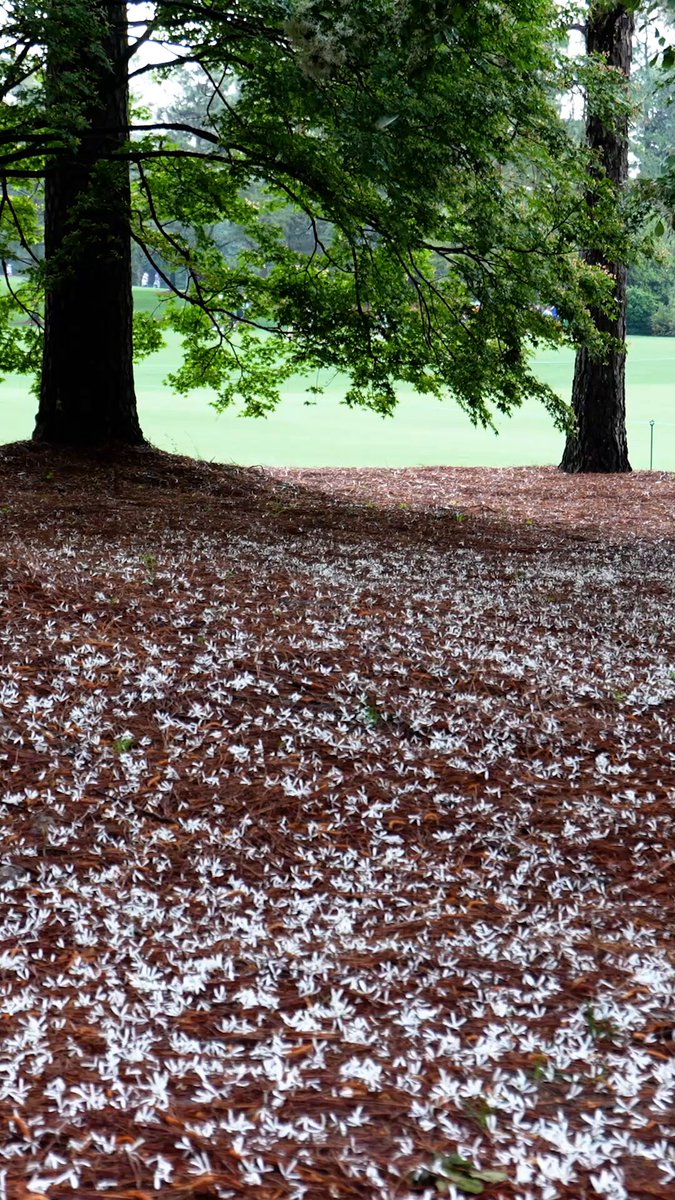 Welcome back: Der Masters ruft – Montag in Augusta